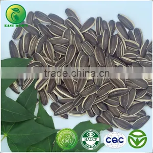 Sunflower Seeds Long Type 5009 Inner Mongolia thumbnail-1