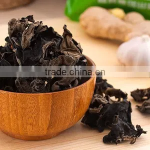 Perfect Black Fungus Mushrooms thumbnail-4