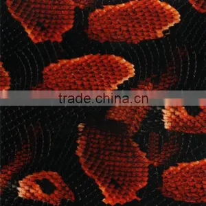 Factory Outlet RISHINE Wholesale Animal Pattern Hydrographics Film Water Transfer Printing Film thumbnail-6