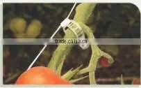 Tomato Support Clip thumbnail-1