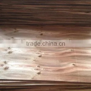 Viet Nam Suppliers 1.5 - 2.0 mm Eucalyptus Veneer thumbnail-1
