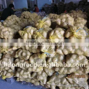 Whole Sale Big Quantity Fresh Yellow Potato (chinese) thumbnail-2
