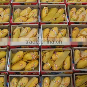 Mango Exporter thumbnail-1