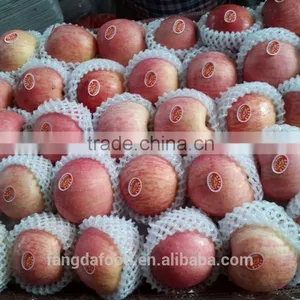 Yantai Fresh Apple/china Fresh Apple thumbnail-1