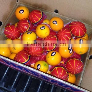 Egyptian Navel Orange With Best Quality thumbnail-4