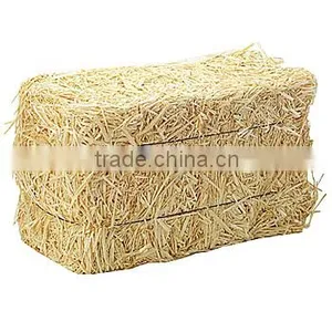 Wheat Hay, Straw Hay, Animal Filler Hay, Straw Hay Bale, Wheat Straw Bale, Wheat Hay thumbnail-1