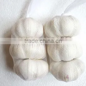 New Crop Fresh Pure White Garlic thumbnail-1