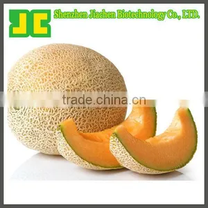 Sell 100% Natural Dried Hami Melon Extract Powder in 5:1&10:1 With High Quality thumbnail-1
