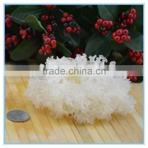 Chinese Chrysanthemum Mushroom Tremella Fuciformis thumbnail-1