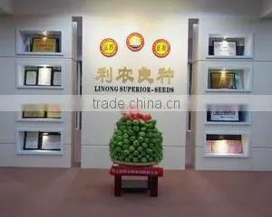 Guangdong Helinong Seeds Co., Ltd. company overview - view 3 thumbnail
