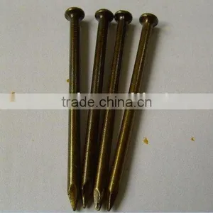 Common Nail thumbnail-1