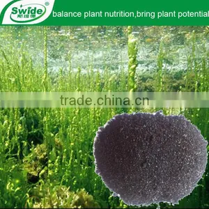 High Quality Seaweed Extract Fertilizer Powder/Flake thumbnail-1