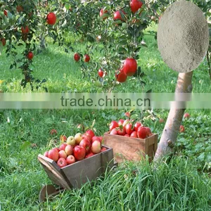 Honganyuan Compound Amino Acid / Soya Bean Extract Amino Acid Powder thumbnail-3