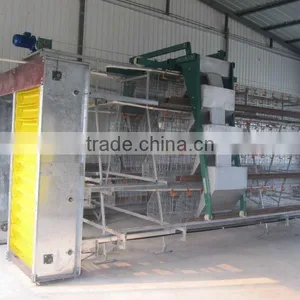 Automatic Poultry Farming Equipment for Layer Quail r thumbnail-5