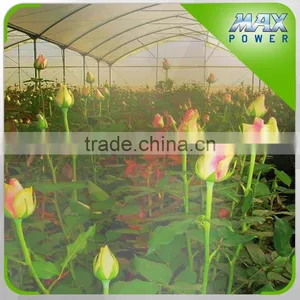 Irrigation System for Outdoor Flower Garden thumbnail-5