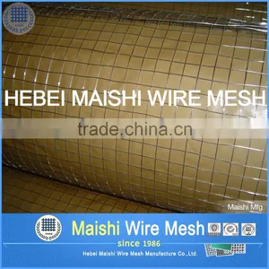 1/2''x1/2'' Electro Galvanized Welded Wire Mesh thumbnail-1