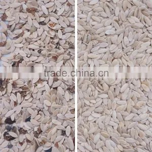 Hot Sales Full Color CCD Camera Color Sorter for Uzbekistan Sunflower Seeds/pumpkin Seeds thumbnail-4