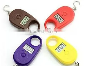 Fish Electronic Scales thumbnail-1