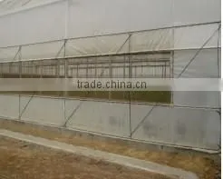 Low Price Tunnel Agriculture Greenhouse for Vegetable thumbnail-3