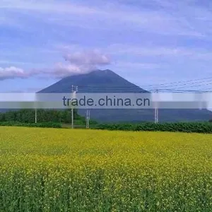 Land in Niseko Resort , Hokkaido , Japan thumbnail-3
