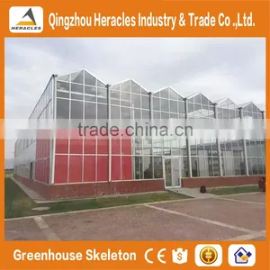 Agricultural Greenhouses For Soilless Hydroponics / Nft Systems For Tropical And Desert Areas thumbnail-2