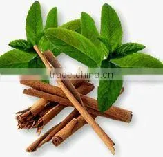 Cinnamon Leaf Oil thumbnail-3