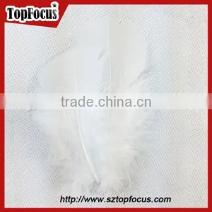 Wholesale Dyed Mixed Color Fluffy Turkey Marabou Artificial Feathers thumbnail-1