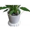 USB Flowerpot thumbnail-1