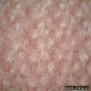 Sell Velvet (Curly Poodle) thumbnail-1