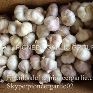 4.5cm 5cm 5.5cm Normal White Garlic Small Packing 1n 10kg Carton Box thumbnail-5