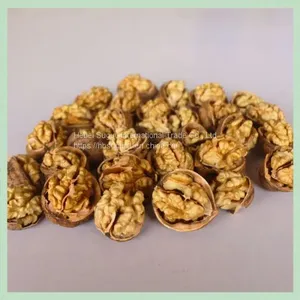 New Crop Dry Walnut Walnuss Nuts Nuss/China Xinjiang/ Walnut Food/ Food Wholesale thumbnail-1