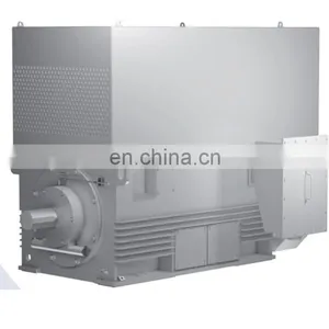 Siemens Brand Big Power 6.6KV High Efficiency Induction Motor thumbnail-4