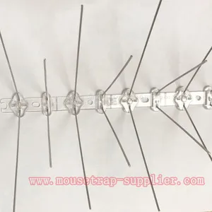High-quality UV Treatment Stainless Steel Anti Bird Spikes Pigeons Cat Control thumbnail-2