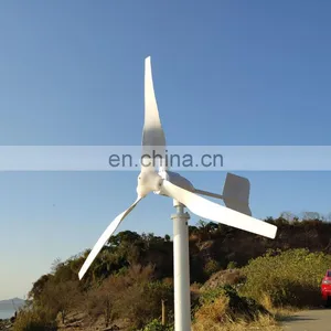 Hot Sale 100W 200W 300W 400W 500W 12V/24V/48V Horizontal Axis Wind Generator Small Wind Generator Price thumbnail-5