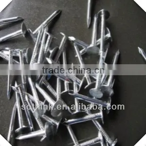 Electric Galvanized Flat Head Roofing Nails thumbnail-1
