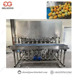 Stainless Steel Mango Peeling Machine With High Capacity Mango Peeler Machine thumbnail-1