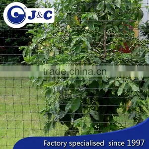 Customize Size Anti Bird Protection Netting Use for Vineyard, Anti Bird Protection Net,PE Agricultural Bird Netting thumbnail-1