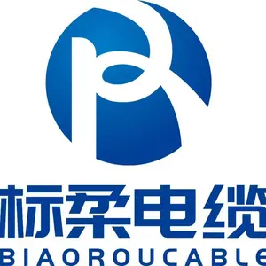 Biaoluo Special Cable (Shanghai) Co., Ltd company overview - view 1 thumbnail