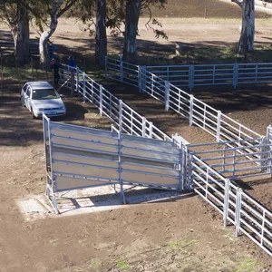 Livestock Handing Equipment Cattle Loading Ramp for Farm Ranch Factory Prices thumbnail-5