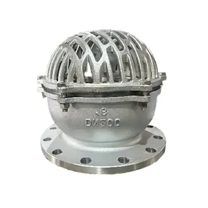 OEM PN40 DN150 WCB SS304 Flange Foot Valve Water Non Return Valve ANSI 150LB 304 Bottom Valve for Clean Water Pipes thumbnail-3