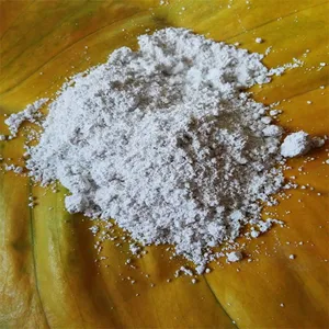 Cosmetics-grade Calcined Diatomite Paint Coating Insulation Silica Gel Used Diatomite thumbnail-3