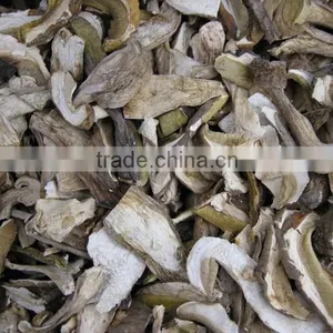 Top Quality of Dried Porcini Mushroom thumbnail-4
