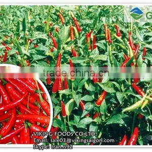 Fresh/Dried/Frozen/Powder Red Hot Chili From Vietnam! thumbnail-1