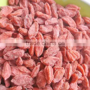 2015 Goji Berry Price thumbnail-3