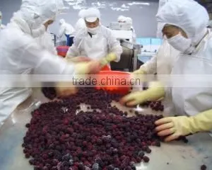 Nanjing Frostar Fruits & Vegetables Co., Ltd. company overview - view 2 thumbnail