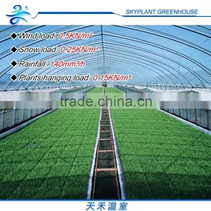 Single-span Greenhouse for Vegetables, Plastic Flim Greenhouse, Low Cost thumbnail-2