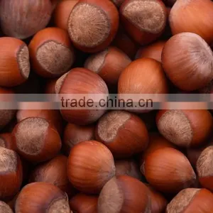 100% Organic and Natural Hazelnuts thumbnail-2