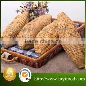 Chinese Vegetable Fresh Arrow Root on Sale thumbnail-3
