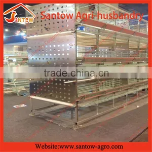 Stable Steel Structure Chicken Egg Layer Cage Broiler Breeder Farm thumbnail-3
