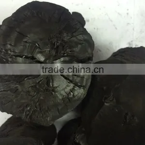Black Charcoal thumbnail-2